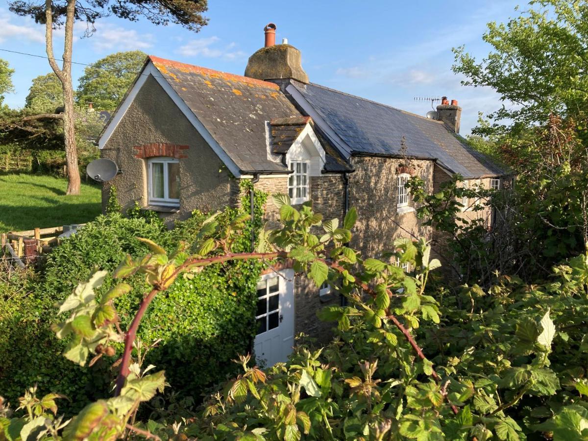 Yew Tree Cottage ダートマス エクステリア 写真